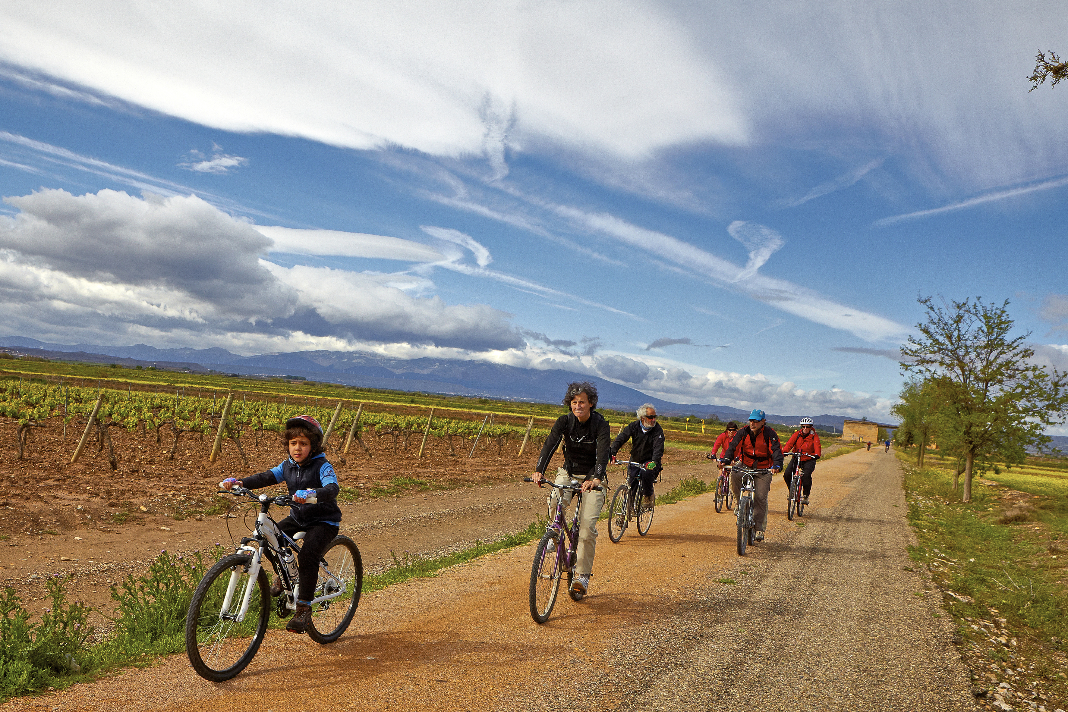 grupo de ciclistas por un camino de tierra al lado de una viña